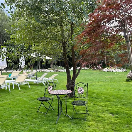 Predela Lux 3*